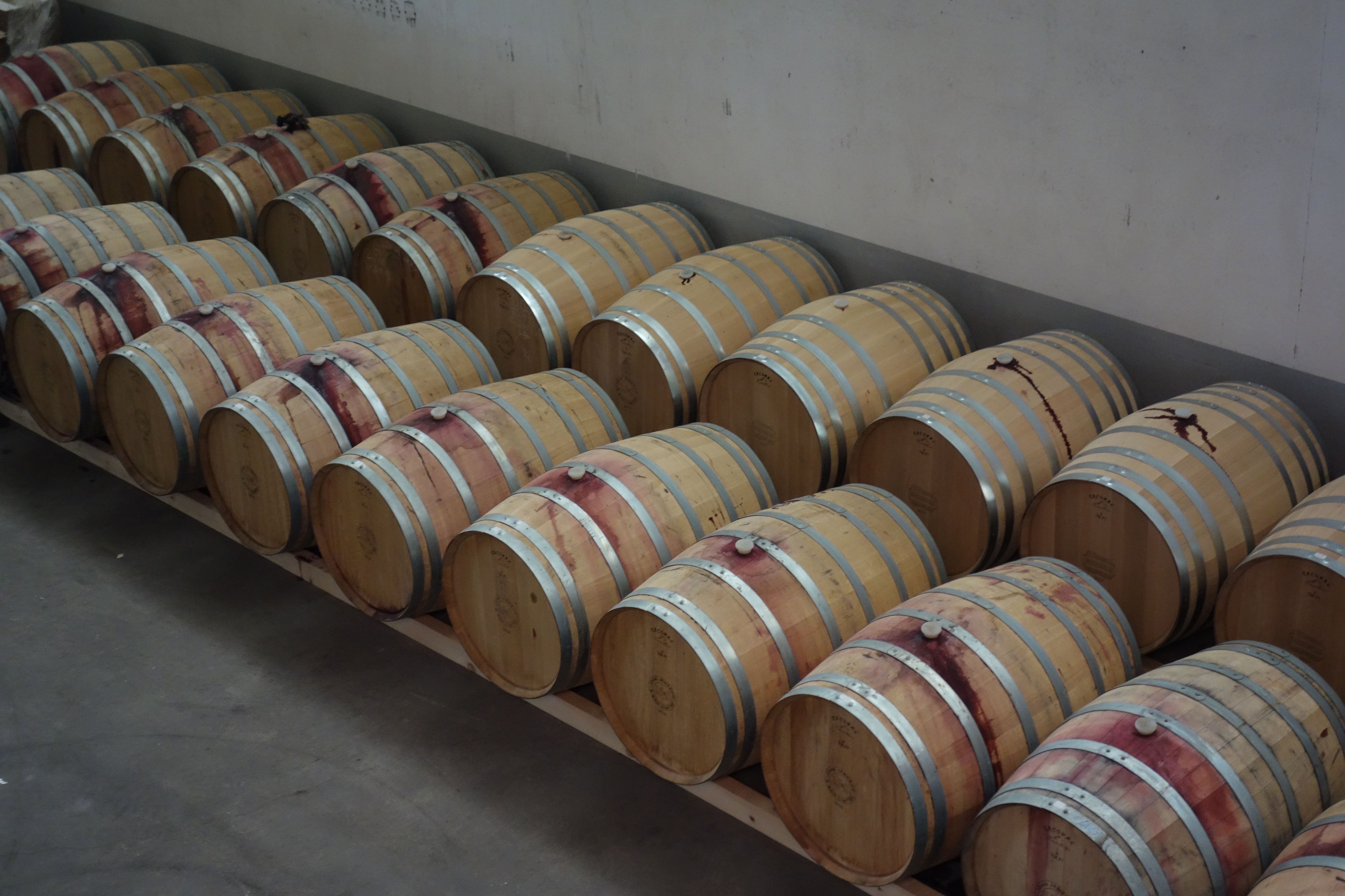 Best of Douro