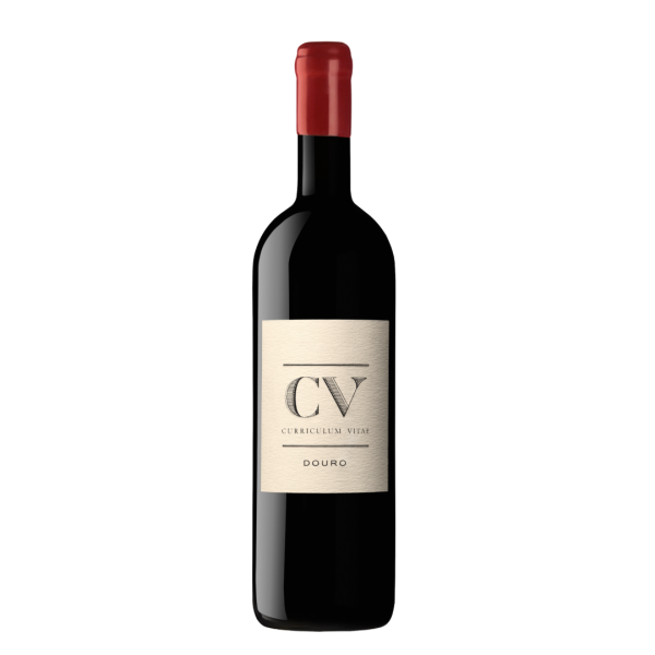 CV-Curriculum Vitae douro red